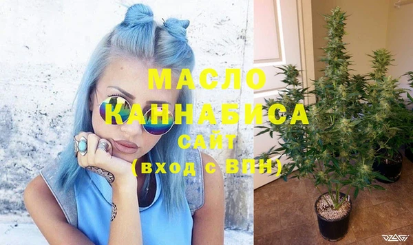 индика Карталы