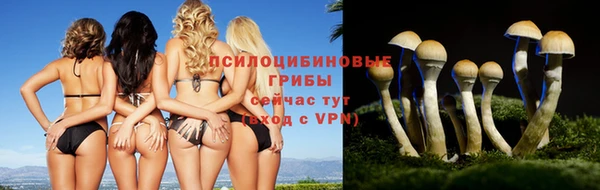 ПСИЛОЦИБИНОВЫЕ ГРИБЫ Касимов