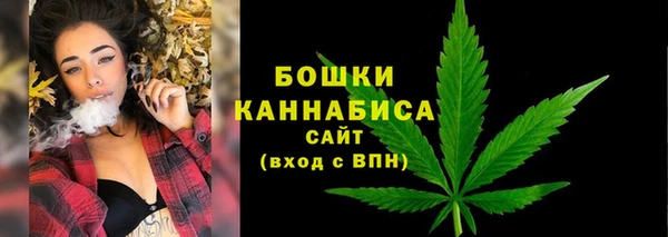 ПСИЛОЦИБИНОВЫЕ ГРИБЫ Касимов
