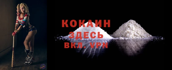 спайс Каменка