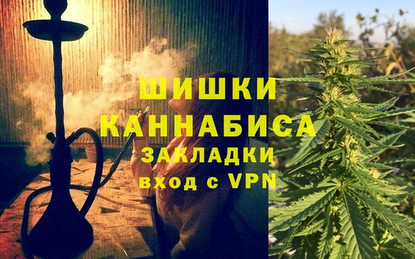 ПСИЛОЦИБИНОВЫЕ ГРИБЫ Касимов