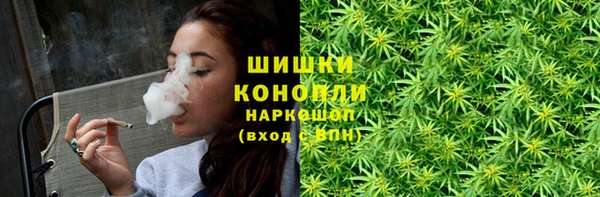 ПСИЛОЦИБИНОВЫЕ ГРИБЫ Касимов