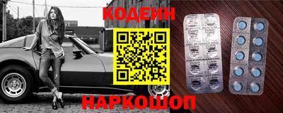 прущие грибы Канаш