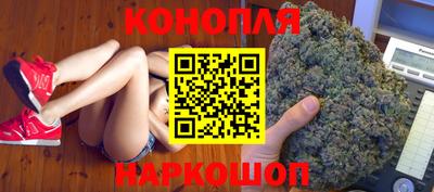 прущие грибы Канаш
