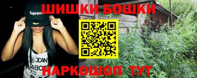 ешки Камышлов